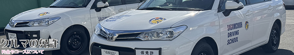 相模原の相模中央自動車学校、クルマの免許