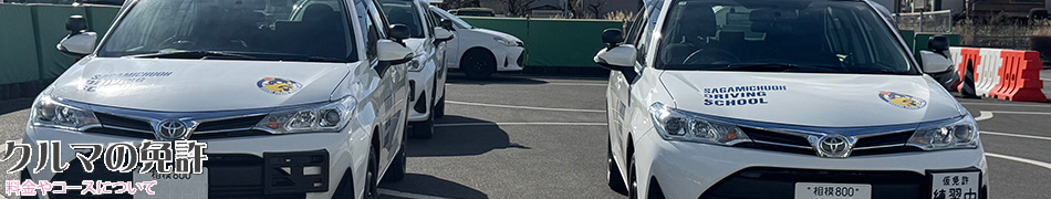 相模原の相模中央自動車学校、クルマの免許